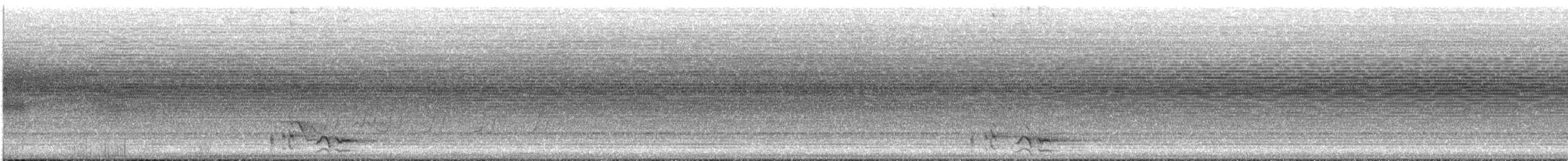 Noisy Friarbird - ML613176210