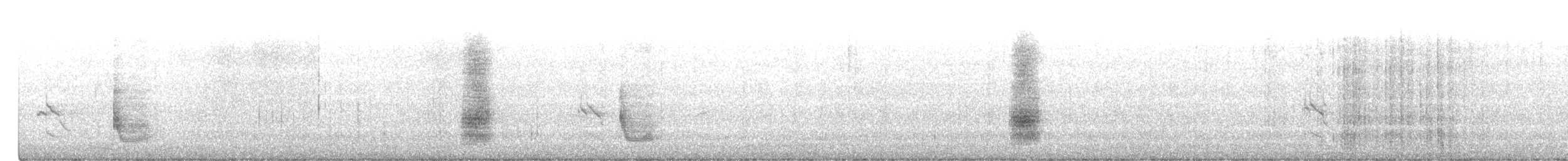 Geai à gorge blanche - ML613177386
