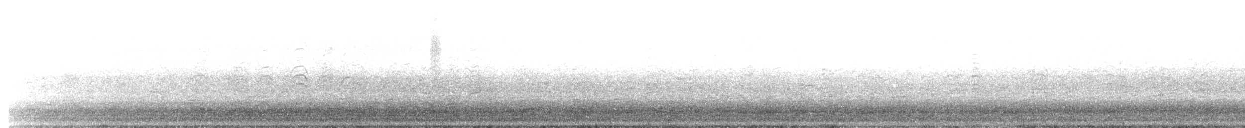 Snow Goose - ML613177436
