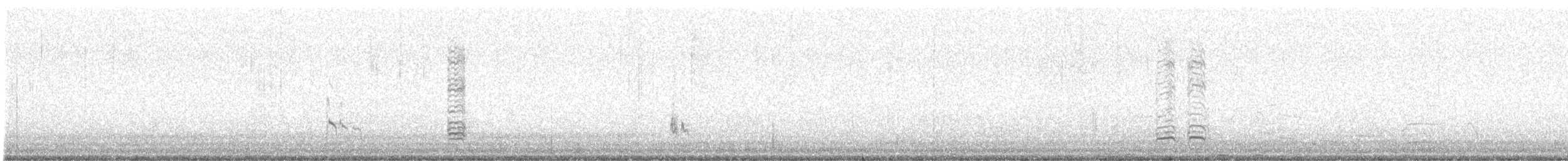 Короткоклювый бекасовидный веретенник - ML613179074