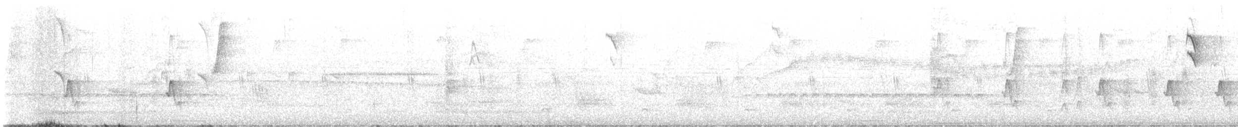 Beyaz Çizgili Tangara - ML613179307