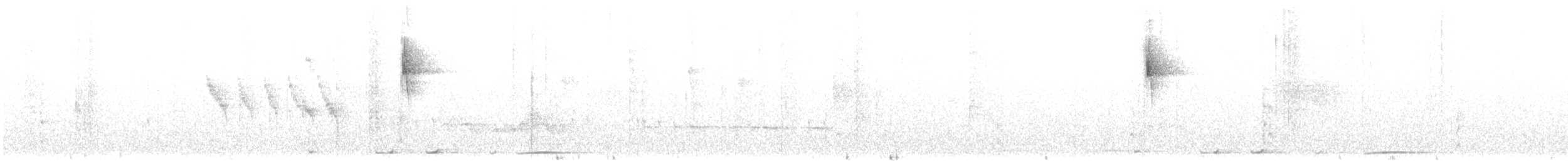 Ticotico Cejiblanco - ML613179980