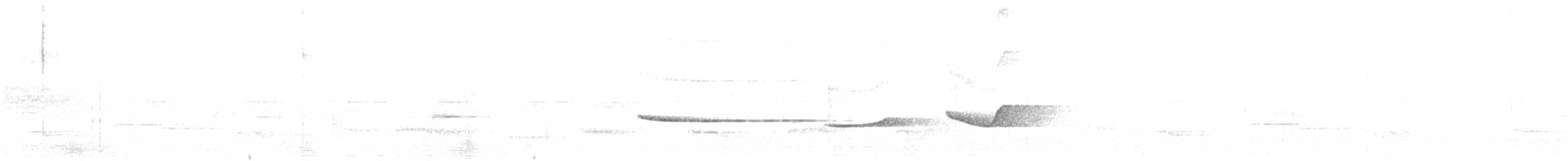 ツグミマイコドリ - ML613182286
