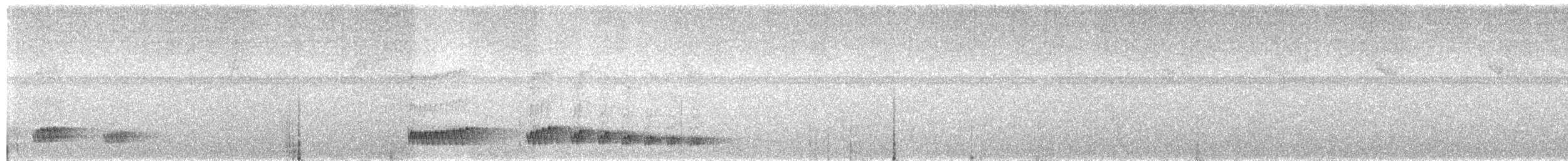 Скрытохвост татаупа - ML613182915