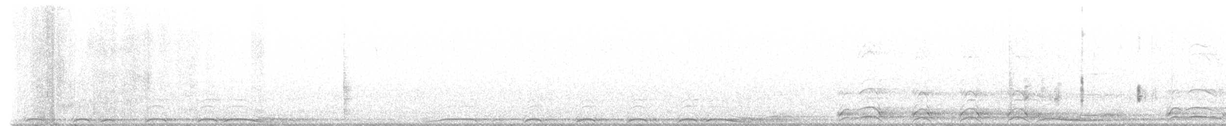 Chouette rayée - ML613188877
