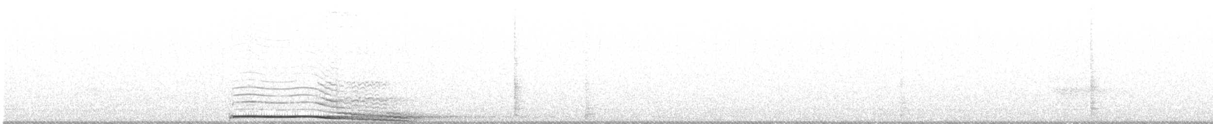 Chouette rayée - ML613188878
