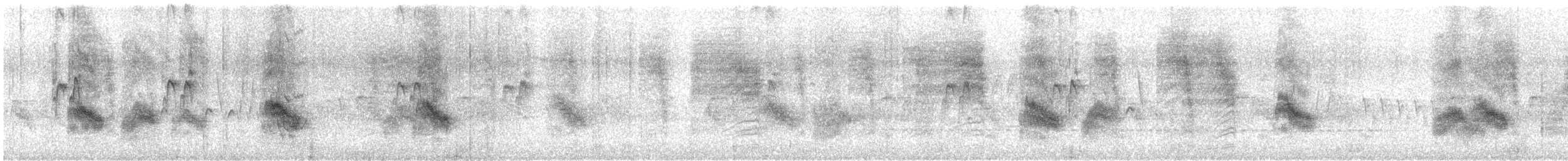 Hirondelle gracieuse - ML613189489