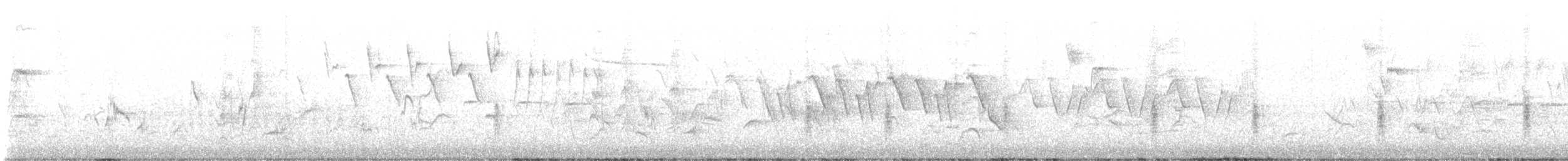 Oriole des vergers - ML613190387