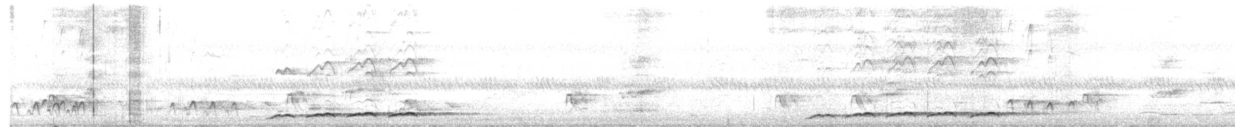 Тихоокеанский коэль - ML613192171
