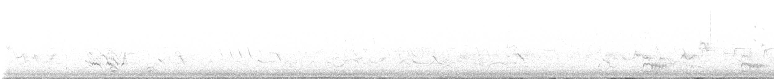 Doğulu Mavi Ardıç - ML613194571