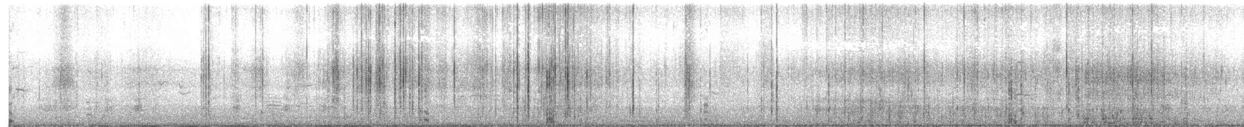 Американская лысуха (Red-shielded) - ML613197499