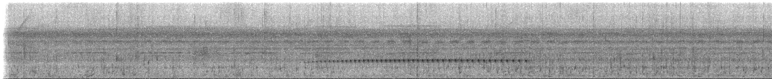 spydknottsmett (melanurus gr.) - ML613197665