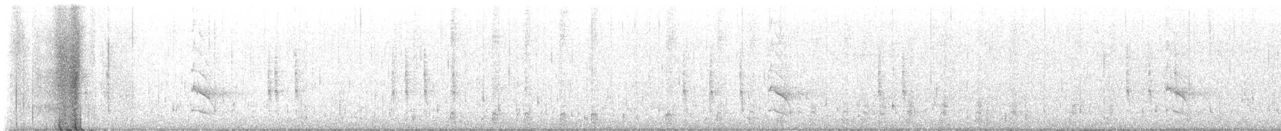 Troglodyte des forêts - ML613200454