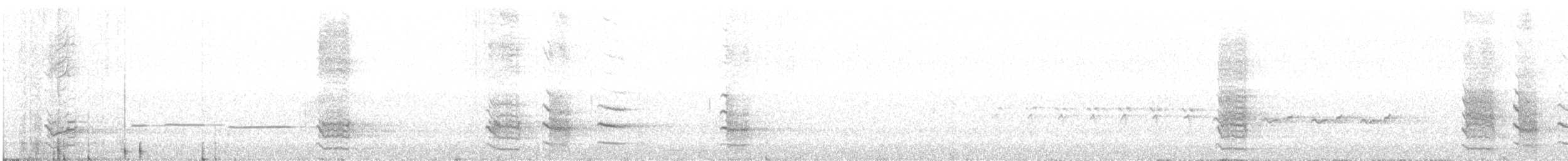 svarthodeparakitt - ML613201332