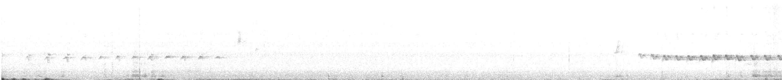 Гвінейниця австралійська - ML613201335