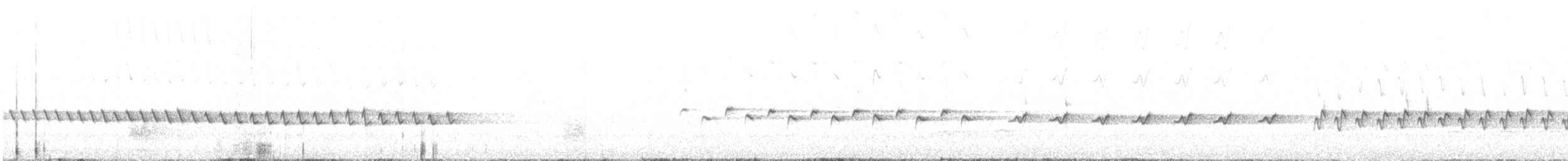 Weißschwanzschnäpper - ML613201336