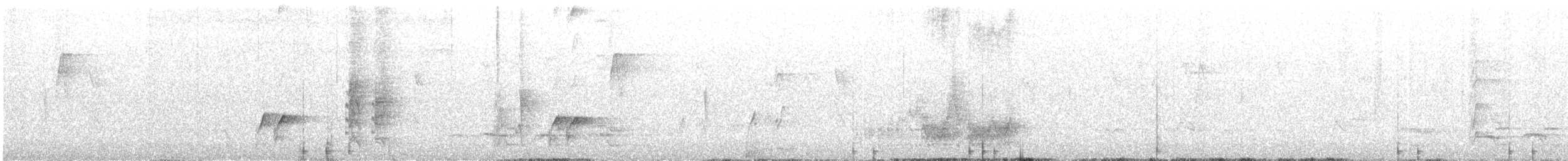 White-browed Babbler - ML613201578