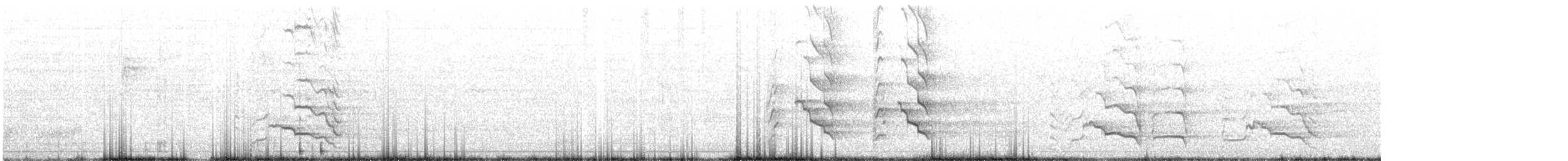 Baudin's Black-Cockatoo - ML613201758