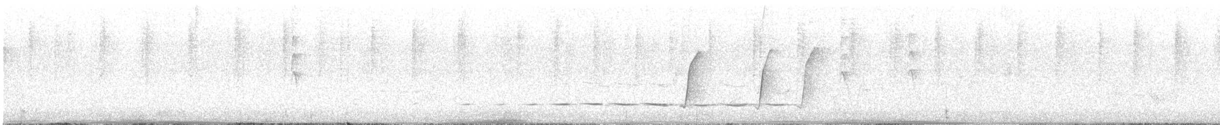 Siffleur occidental - ML613201915