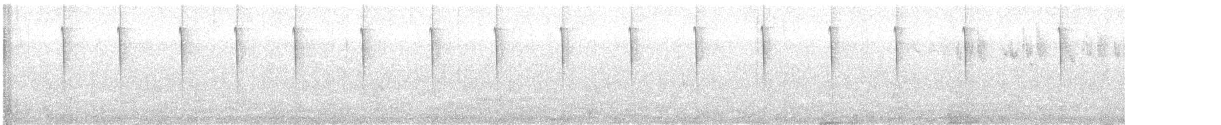 Grünbrust-Mangokolibri - ML613202399