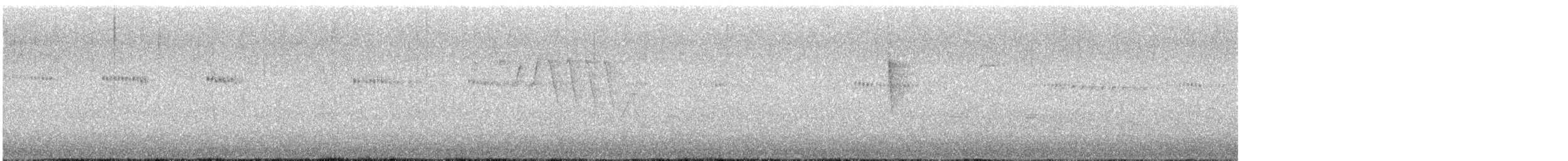 Широкохвостый колибри - ML613205329