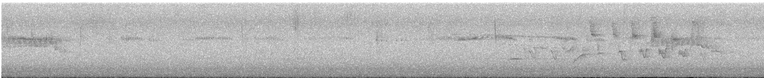 Широкохвостый колибри - ML613205519