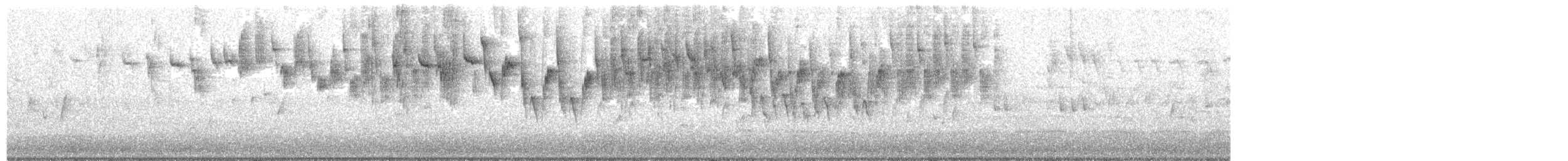 Prachtstaffelschwanz - ML613207879