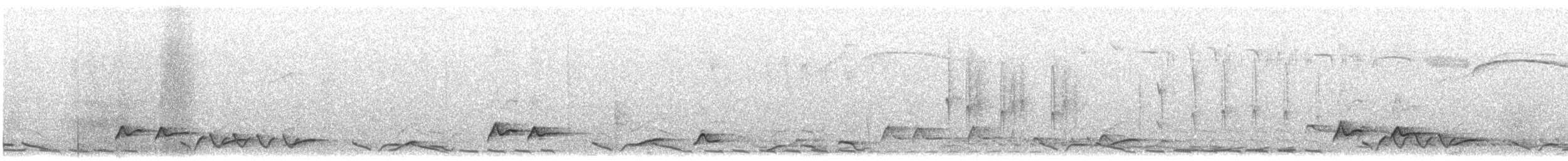 Plain-tailed Wren (Gray-browed) - ML613208413