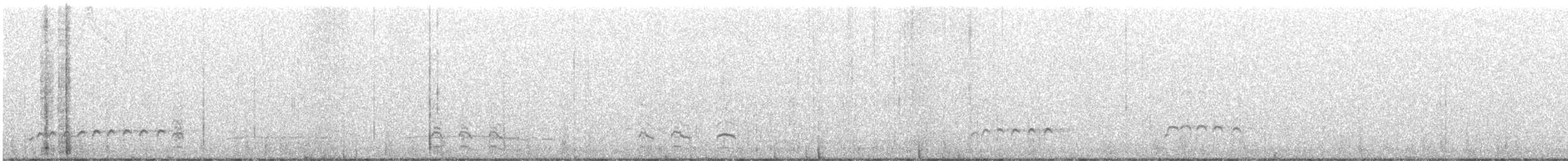 Bar-tailed Godwit - ML613212294