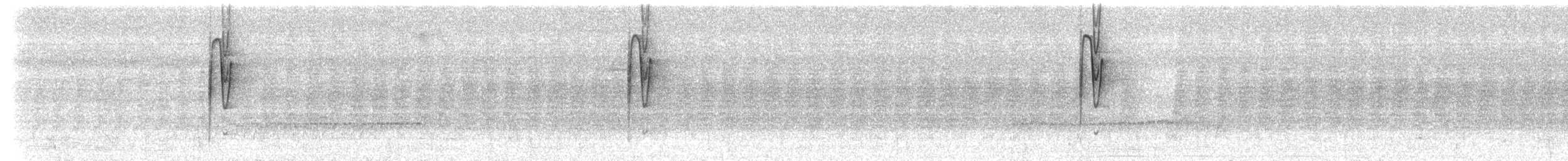 Rufous-backed Stipplethroat (Yasuni) - ML613212570