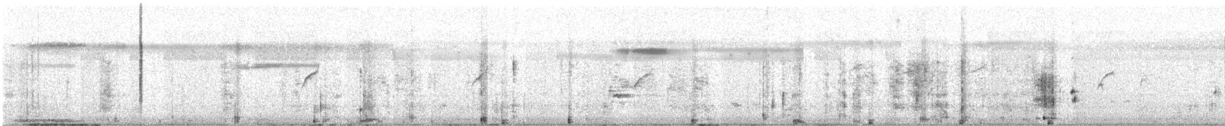 Clamorous Reed Warbler - ML613213777