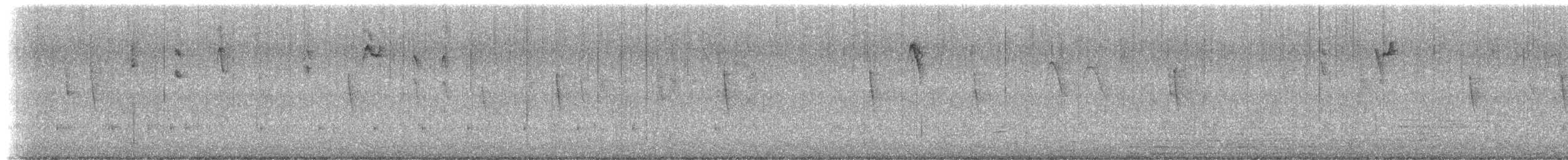 svartblomsterborer - ML613217828