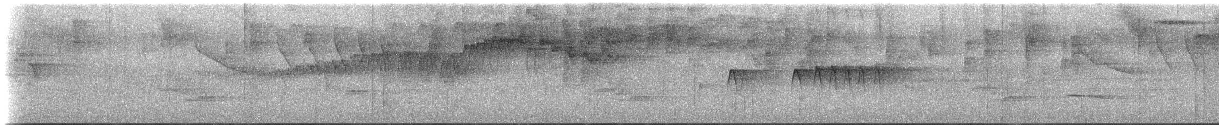 Коронник смугастоголовий (підвид daedalus) - ML613218262
