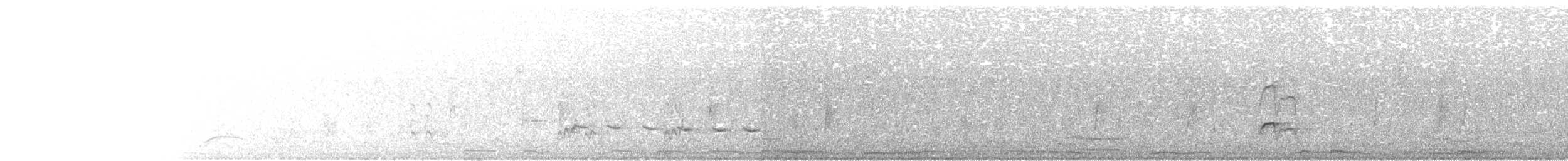 Nutting's/Salvadoran Flycatcher - ML613225870