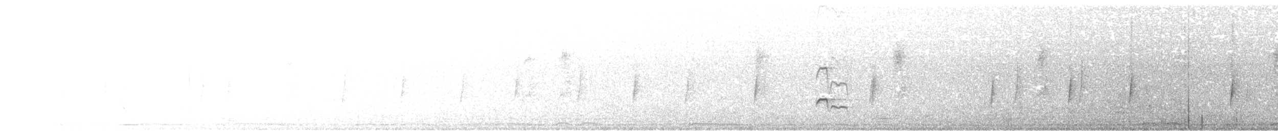 Nutting's/Salvadoran Flycatcher - ML613226322