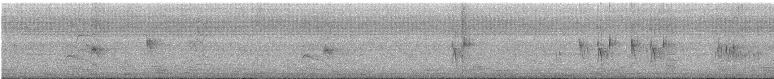 シロオビツバメ - ML613228831