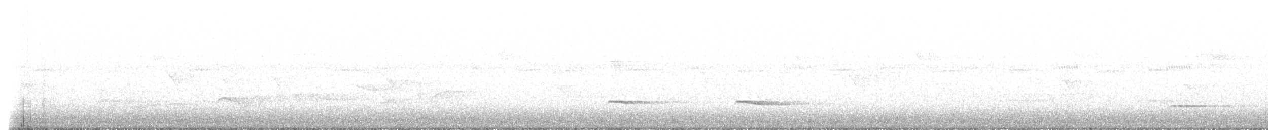 Graubrust-Ameisendrossel [hoffmanni-Gruppe] - ML613228887