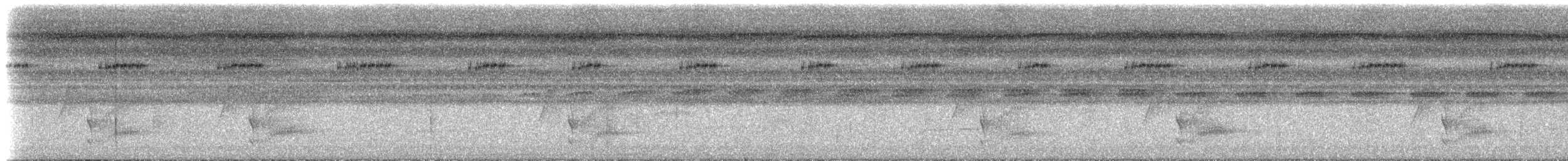 blåkronemanakin (coronata gr.) - ML613232939