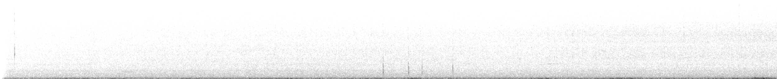 mørkhettetyrann (lawrenceii gr.) - ML613233555