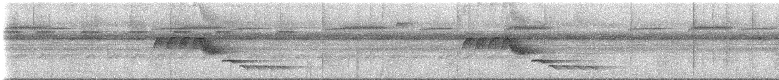 Troglodyte à poitrine blanche (groupe leucosticta) - ML613233731