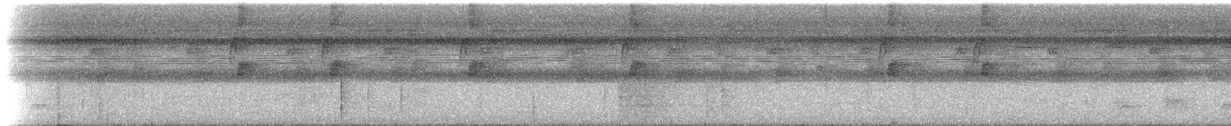 Большеклювый колибри-отшельник [группа moorei] - ML613234668