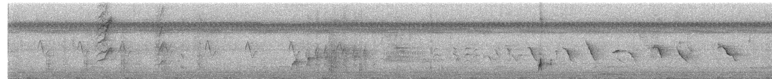 svartnebbtrost (debilis) - ML613234967