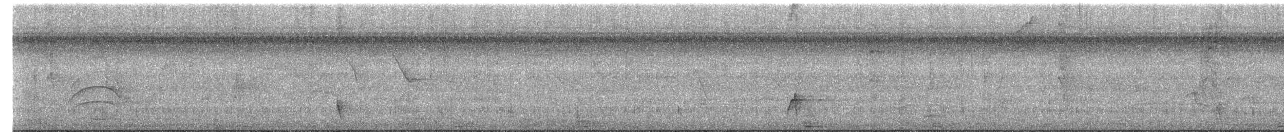 Дрізд чорнодзьобий (підвид debilis) - ML613234971