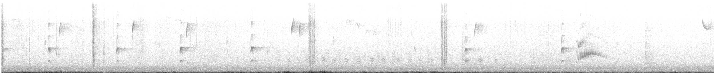 Tyran de Couch - ML613239619