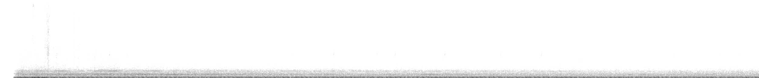 Шишкар ялиновий - ML613239703