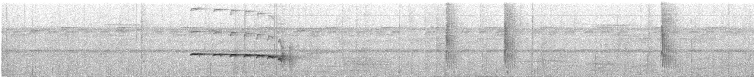 Kuzeyli Kestanerengi Karıncakuşu - ML613240528