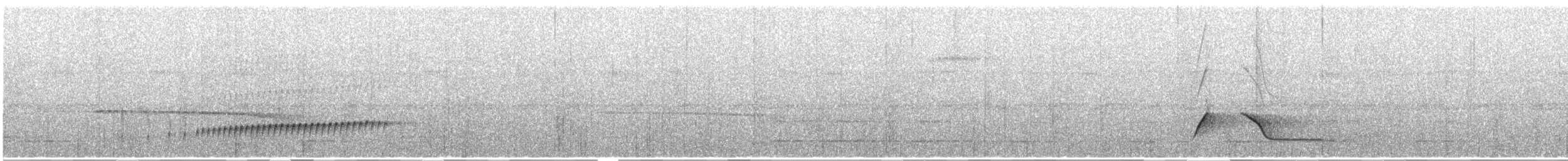 Lawrence's Thrush - ML613240592