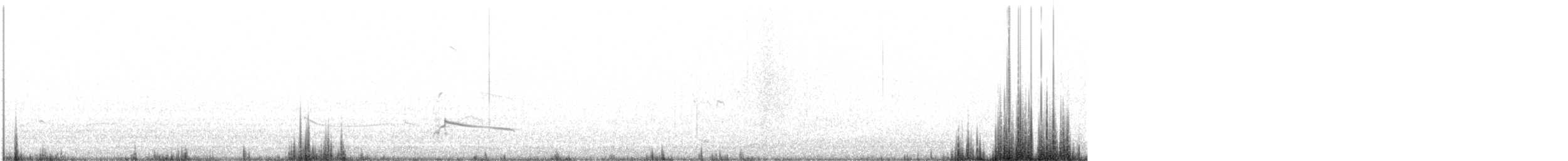 Black-bellied Plover - ML613243710