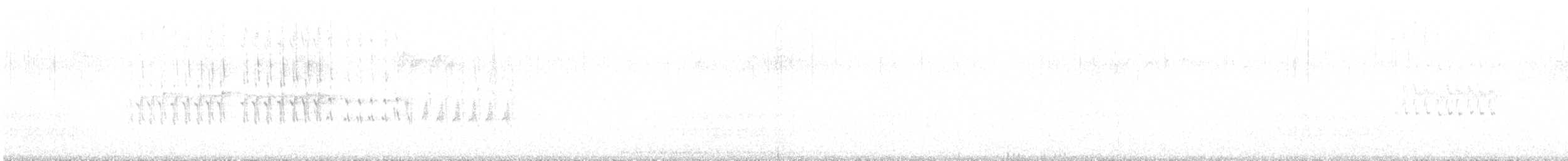 Piquituerto Aliblanco - ML613244185