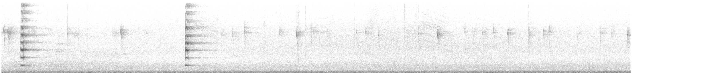Gallinule d'Amérique - ML613244321